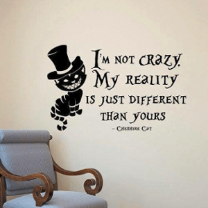I'm not crazy my reality is just different than yours